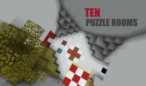 İndir Ten Puzzle Rooms için Minecraft 1.16.4