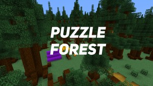 İndir Puzzle Forest için Minecraft 1.16.5