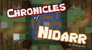 İndir SkyBlock: Chronicles of Nidarr için Minecraft 1.16.5