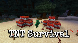 İndir TNT Survival 1.0 için Minecraft 1.19
