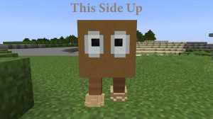 İndir This Side Up 1.0 için Minecraft 1.18.2