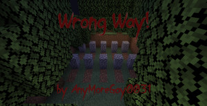 İndir Wrong Way 1.0 için Minecraft 1.18.2