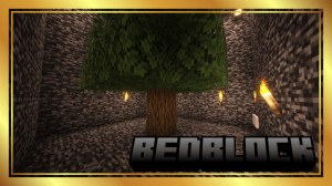 İndir BedBlock için Minecraft 1.21.5